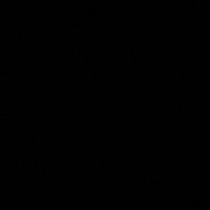 Meet your Posher, Mina awadalla